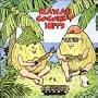 HAWAII COCONUT HITS