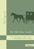 Die Old Order Amish: Eine Glaubensgemeinschaft zwischen Beharrlichkeit und Entwicklung