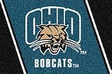 Ohio Bobcats 33 &acute; x 45 &acute; Team Door Mat - B0001H0LE2