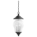 Sea Gull Lighting 60175-757 Three-Light Winona Outdoor Pendant, White Swirl Glass, Golden Aubergine