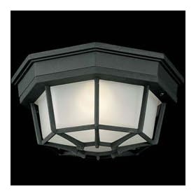 Black Finish 9" Wide Outdoor Ceiling Light Fixture