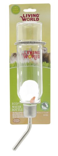 Living World Eco + Water Bottle - 12 ounces