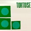 Tortoise
