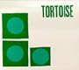 Tortoise