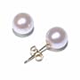 14k Yellow Gold Akoya Cultured Pearl Stud Earrings (6.5-7mm)