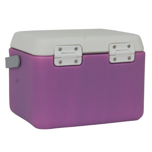 10T Fridgo 5 Glacière passive Lavande/Gris Clair 27 x 22 x 19,5 cm