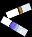 Chromatography Paper - 10 Ft Roll