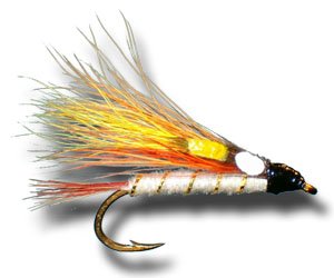 Little Brown Trout Fly Fishing Fly