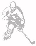 HOCKEY sport SUDDEN SHADOW WALL paper FORWARD mural
