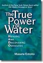 The True Power of Water Seminar