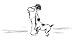 A Day, a Dog