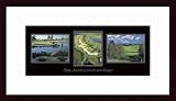 The Attraction of Golf, Art Poster with Wood Frame, poster size: 8