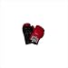 Standard Training Gloves Velcro 18oz