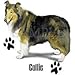 Collie Adult Sweatshirt