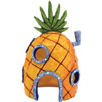 SpongeBob SquarePants® 6