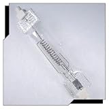 Ushio FEX Lamp (1000515)