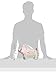 Amscan Avant Garde Bridal Shower Autograph Plush Hound Party Novelty Favors, 9 x 16
