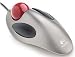 Electronics : Marble Mouse USB & PS/2