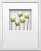 �s�t�����[�t���[���tHana concept frame Anthurium�i�A���X���E���j