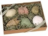 Inner Ocean Handmade Glycerin Guest Soap Seashell Designs