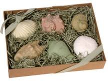 Inner Ocean Handmade Glycerin Guest Soap Seashell Designs