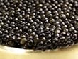 Hackleback Sturgeon Caviar - 1 oz