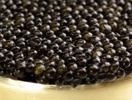Hackleback Sturgeon Caviar - 1 oz