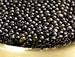 Hackleback Sturgeon Caviar - 1 oz