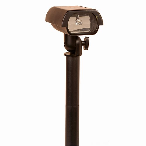 Black Brass Solar Spot Lantern