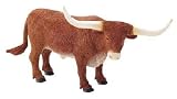 Texas Longhorn, Safari Farm