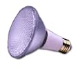 Sylvania 14786 - 75PAR30LN/CAP/NSP9 - 75 Watt Long Neck PAR30 Narrow Spot Light Bulb, 9 Degree Beam