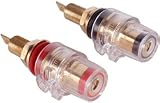 Dayton BPFI-G Fully Insulated Binding Post Pair Gold