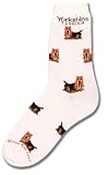 Yorkshire Terrier Yorkie Poses Socks Sockliner