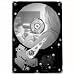 Electronics : Seagate OEM ST3500630AV, 500GB PATA, SV35 SERIES 7200.2 , 7200RPM 16MB Cache, Surveillance Drive