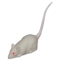 Megatech Radio-Controlled Mouse - White