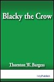 Blacky the Crow