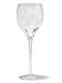 Kitchen & Housewares : Hawaiian Etched Plumeria Flower Wine Glass