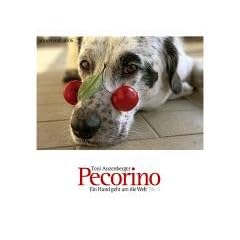 Pecorino No. 5 2006. Wandkalender. Ein Hund geht um die Welt