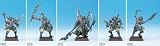 Eigenschaften Rackham SCBO03 / Rackham RK02003 - Confrontation Table Top, Keratis-Dominatoren