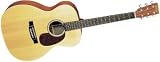 000X1 Auditorium Acoustic Guitar (14 Fret)