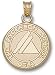 NCAA UCLA Bruins Anderson School Pendant