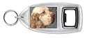 CLUMBER SPANIEL Bottle Opener