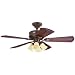 Hunter 28077 Hayden 52-Inch Ceiling Fan Cocoa With 5 Regal Walnut Carved Blades