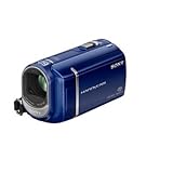 Sony DCRSX40/L Camcorder 