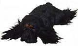 Life-like Sleeping Black Spaniel Puppy Decoration