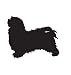 Companion Dog Pet Havanese Car Truck Vehicle Bumper Helmet Decal Sticker Wall Art Laptop Design Skin Stickers