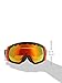 Dragon Alliance Rogue Snow Goggles