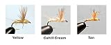 Compara Dun Size: 14; Color: Cahill Cream