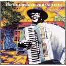 Buckwheat Zydeco Story: A 20 Year Party