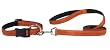 LARGE 20 IN - COPPER - Padded Nylon Dog COLLAR & LEAD SET